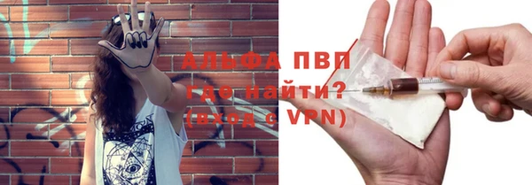прущие грибы Абдулино