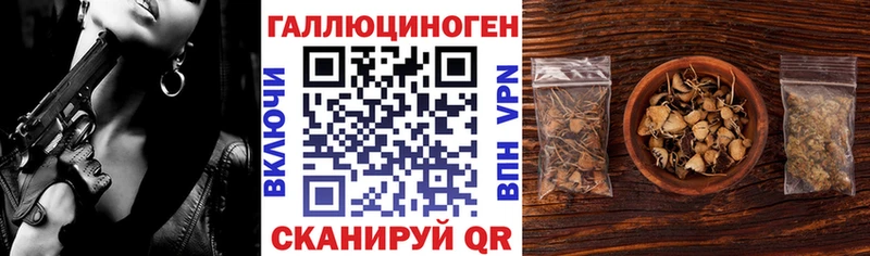 Псилоцибиновые грибы Psilocybe Тула