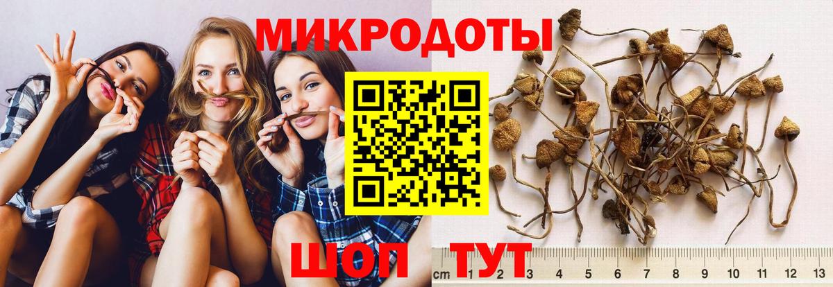 Галлюциногенные грибы ЛСД Тула