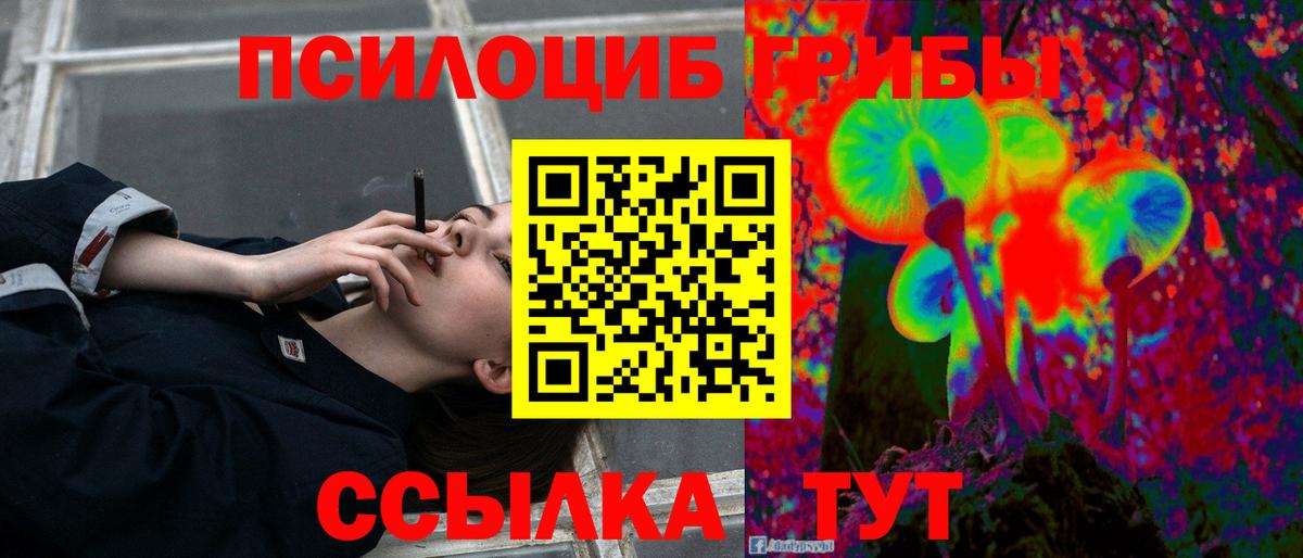 Псилоцибиновые грибы Psilocybine cubensis  Вход с VPN  цена   Псилоцибиновые грибы MAGIC MUSHROOMS  Тула 