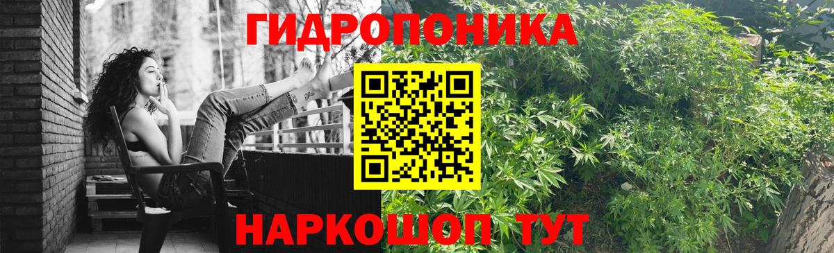 Бошки марихуана Amnesia Тула