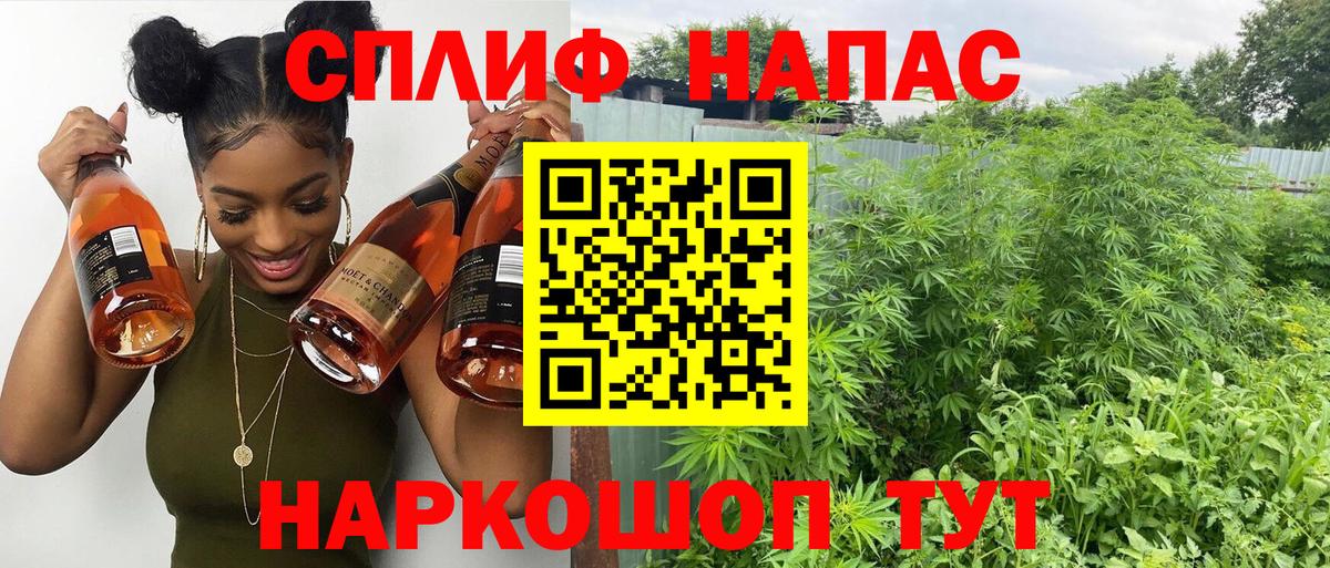 Конопля ГИДРОПОН  Вход с VPN  Тула  Бошки марихуана семена  Конопля ГИДРОПОН  Марихуана конопля 